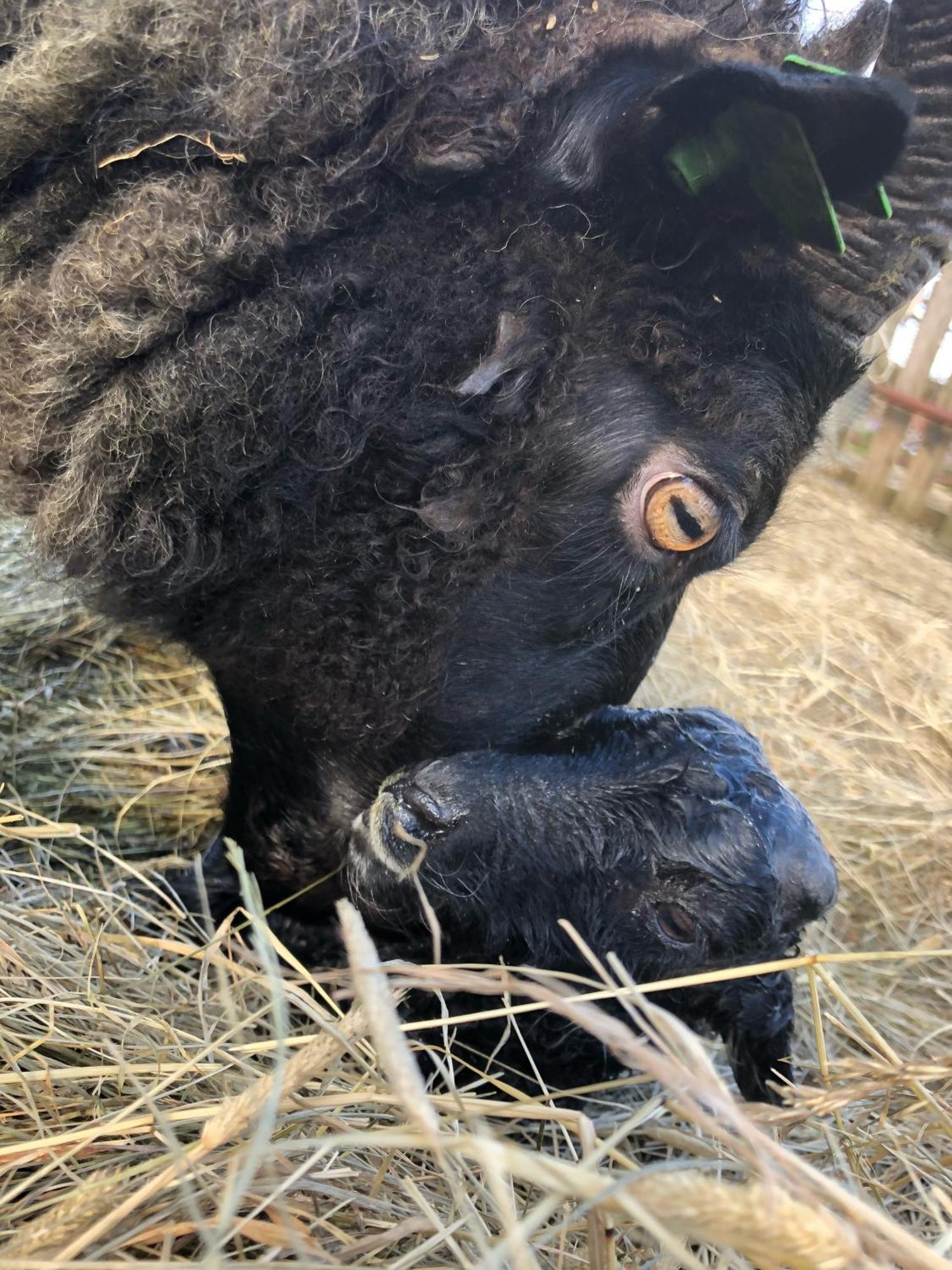 Farmer'S Guest House ヘトラ エクステリア 写真